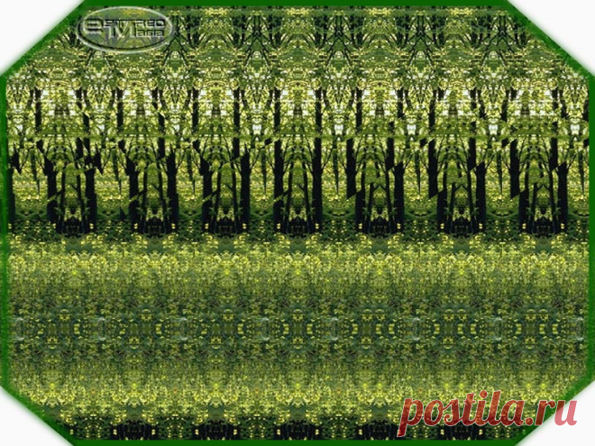 ВОССТАНОВИТЬ ЗОРКОЕ ЗРЕНИЕ С ЕВГЕНИЕМ СЛОГОДСКИМ