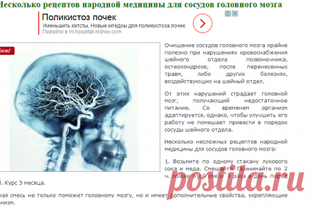 Несколько рецептов народной медицины для сосудов головного мозга