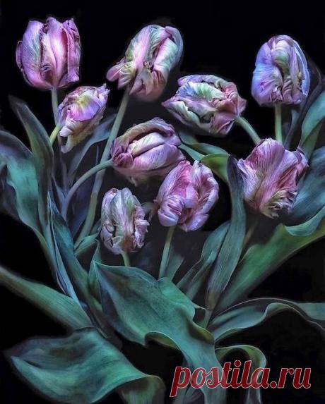 i (563×701)