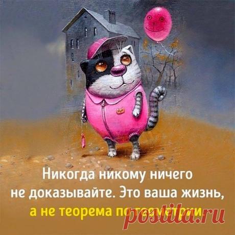 Фитхакер - Публикации