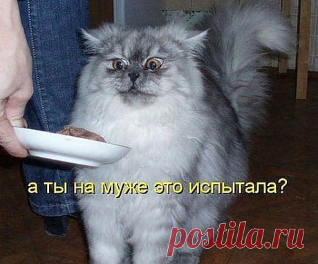 перестраховка