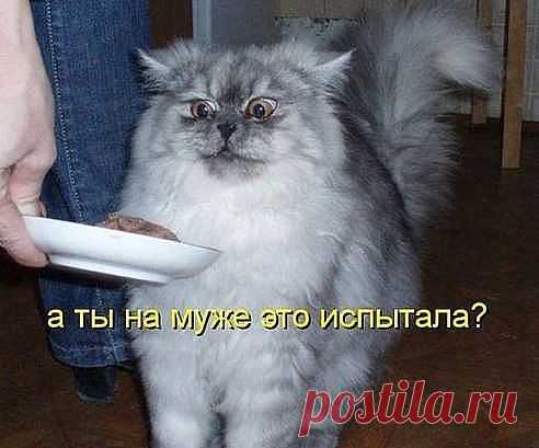 перестраховка