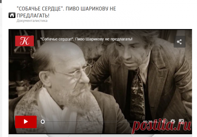 "Собачье сердце". Пиво Шарикову не предлагать! / tvkultura.ru