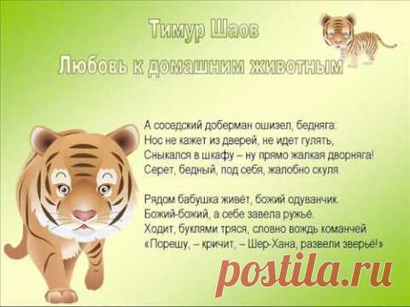 Тимур Шаов, Любовь к домашним животным