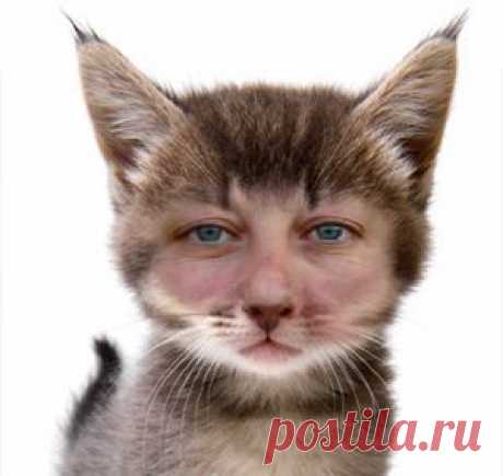 ну, типа,вот так...