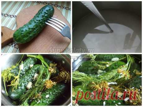 Рецепты засолки вкусных огурцов на зиму в банки с пошаговыми фото
