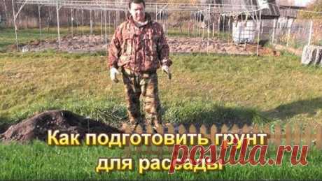 Как подготовить грунт для рассады