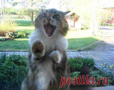 Вы ничего не забыли?