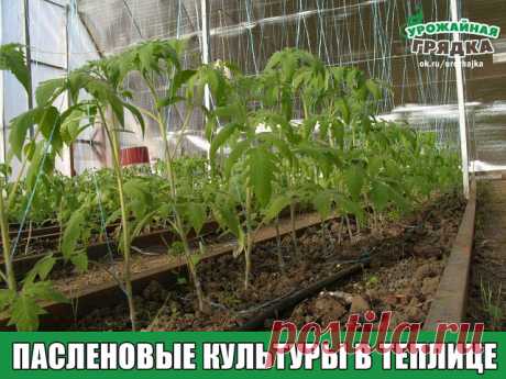 3 непрочитанных чата