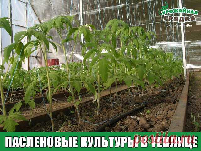 3 непрочитанных чата