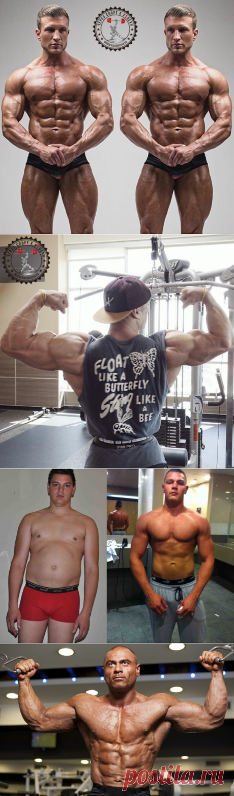 Курс гормона роста в бодибилдинге: правила и отзывы