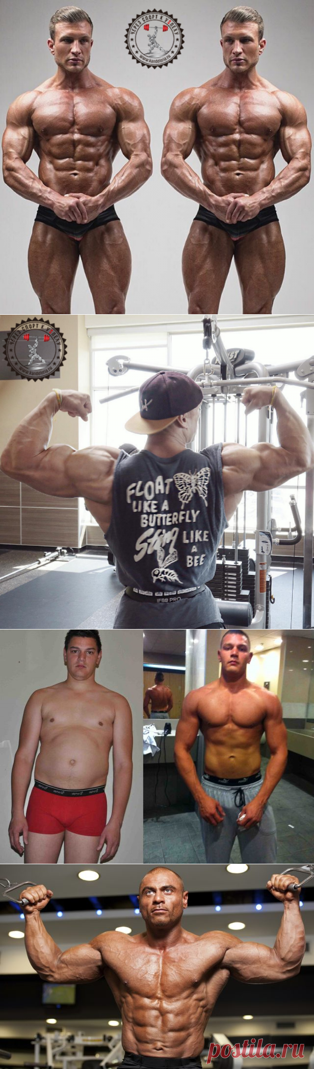 Курс гормона роста в бодибилдинге: правила и отзывы