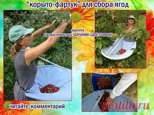 Полезные идейки для дачника | Самоцветик