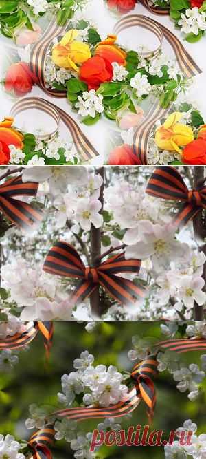 Яндекс.Фоткиᵝ