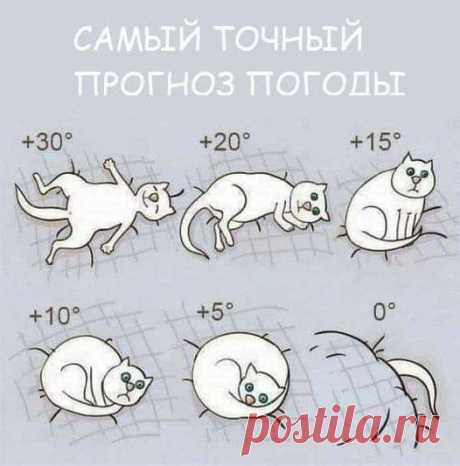 🌿Наталия🌿 (@SobstvennoyP) / Twitter