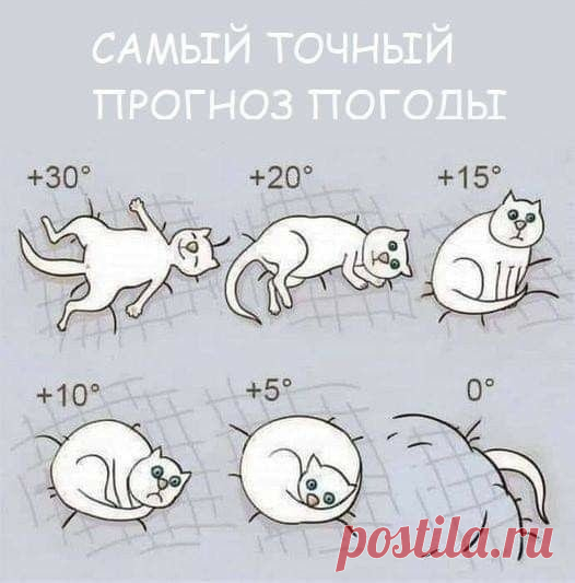 🌿Наталия🌿 (@SobstvennoyP) / Twitter