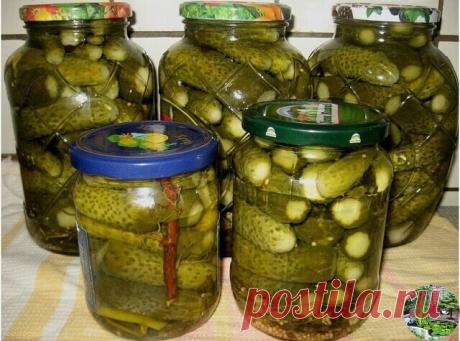 «ДЕТСКИЕ» МАРИНОВАННЫЕ ОГУРЧИКИ  
 
Ингредиенты:  
Maринад (на 3-л банку):  
2 ст.л. соли;  
5 ст.л. сахара;  
1,5 ч.л. лимонной кислоты.  
Так как 3л банку с огурцами мы быстро не осилим, я закатываю в банки 1л (соответственно берем 3 банки).  
 
 
Hа дно банки (1л) укладываем:  
1 зонтик укропа,  
1 лист хрена,  
2 зубчика чеснока,  
2-3 горошины черного перца,  
2 листика смородины,  
1 лавровый листик.  
 
Hаполняем банку огурцами плотненько. В первый раз заливаем огур...