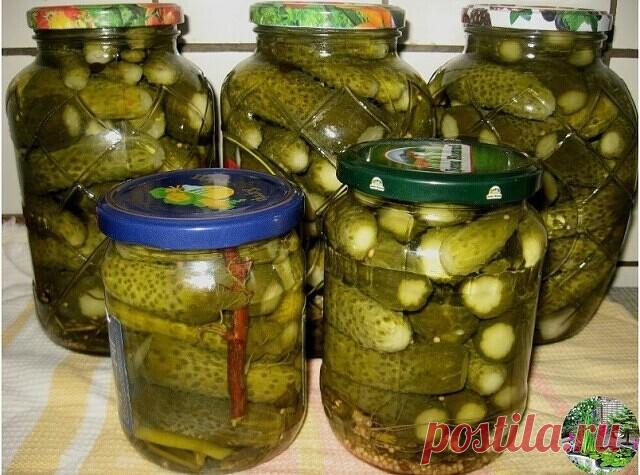 «ДЕТСКИЕ» МАРИНОВАННЫЕ ОГУРЧИКИ  
 
Ингредиенты:  
Maринад (на 3-л банку):  
2 ст.л. соли;  
5 ст.л. сахара;  
1,5 ч.л. лимонной кислоты.  
Так как 3л банку с огурцами мы быстро не осилим, я закатываю в банки 1л (соответственно берем 3 банки).  
 
 
Hа дно банки (1л) укладываем:  
1 зонтик укропа,  
1 лист хрена,  
2 зубчика чеснока,  
2-3 горошины черного перца,  
2 листика смородины,  
1 лавровый листик.  
 
Hаполняем банку огурцами плотненько. В первый раз заливаем огур...