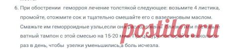 Лечебные свойства и лечение листьями толстянки — Всегда в форме!