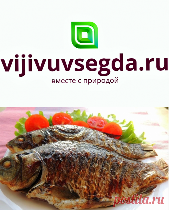 карась в фольге на мангале