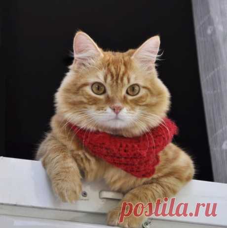 фотографии - утренний выпуск