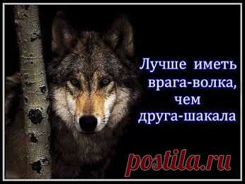 Google+