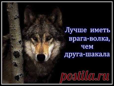 Google+
