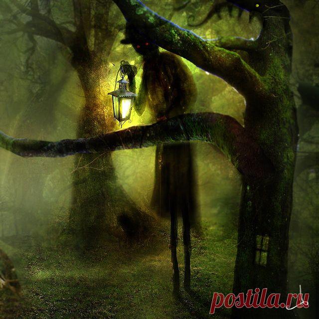 Even more stuff from ’The forest’. #alexanderjansson #illustration