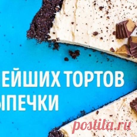 В Петербурге щенка выкинули в сумке замерзать на улице - МирТесен