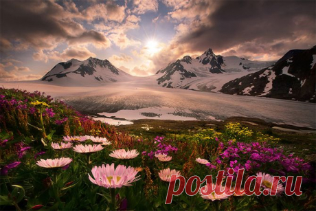 (+1) - Удивительные фотографии дикой природы Аляски | Занимательный журнал