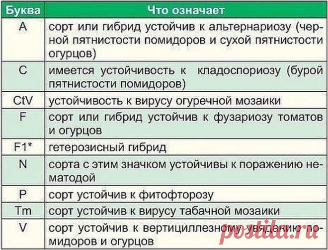 Важная шпаргалка! Что написано на пакетиках с семенами | 6 соток