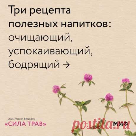 Люди готовили чайные сборы, настои, отвары и солнечные напитки с тех пор, как подружились с растениями. В книге «Сила трав» (mif.to/UowDe) Эрин Вериндер рассказывает о четырех самых простых способах приготовления растений, как сушеных, так и свежих. Ниже вы найдете рекомендации диетолога, фитотерапевта и автора книги по приготовлению растений, а в галерее 3 рецепта, на которых можно потренироваться с пользой для души и здоровья. 🍀 Чайный сбор Залейте свежие или сушеные травы кипятком и дайте…