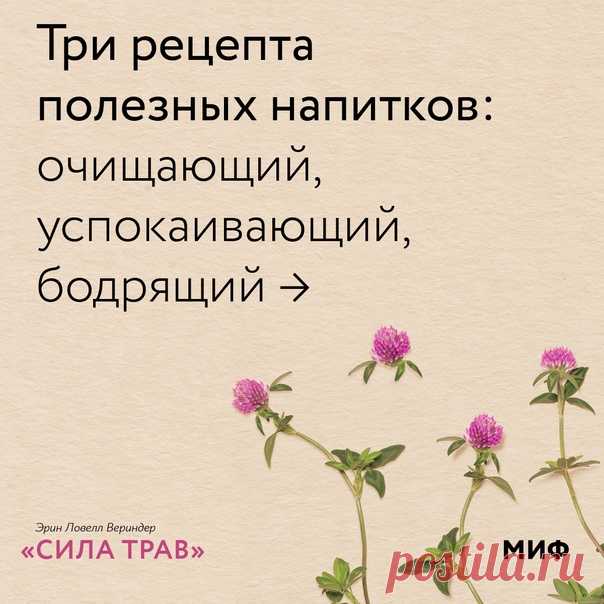 Люди готовили чайные сборы, настои, отвары и солнечные напитки с тех пор, как подружились с растениями. В книге «Сила трав» (mif.to/UowDe) Эрин Вериндер рассказывает о четырех самых простых способах приготовления растений, как сушеных, так и свежих. Ниже вы найдете рекомендации диетолога, фитотерапевта и автора книги по приготовлению растений, а в галерее 3 рецепта, на которых можно потренироваться с пользой для души и здоровья. 🍀 Чайный сбор Залейте свежие или сушеные травы кипятком и дайте…