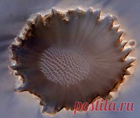 12 фактов, говорящих в пользу существования инопланетян | VestiNewsRF.Ru