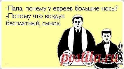 Мои подписки | Постила.ru