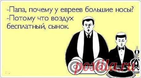 Мои подписки | Постила.ru