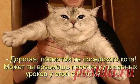 Интересные новости