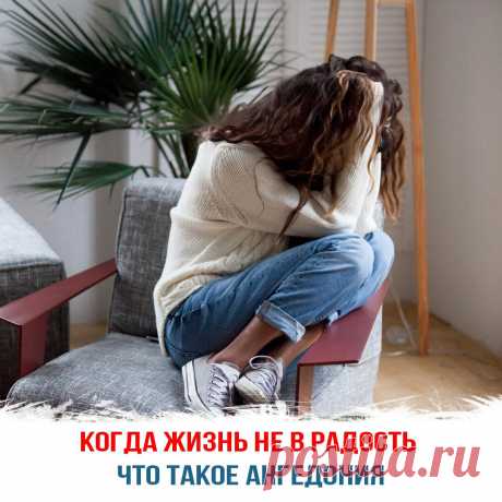Когда жизнь не в радость: что такое ангедония, и как с ней бороться
Привычный ритм жизни может нарушаться спадом энергии и жизненных сил. Человек утрачивает способность радоваться, получать удовольствие от любимых вещей. Такое состояние называется ангедонией. Оно сопровождается апатией, связанной с расстройством психоэмоциональной системы, искажением реальности, дисгармонией. Когда жизнь не в...
Читай дальше на сайте. Жми подробнее ➡