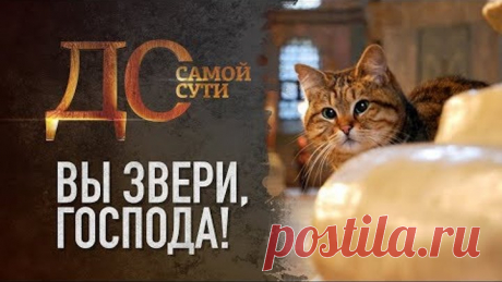 ДО САМОЙ СУТИ. ВЫ ЗВЕРИ, ГОСПОДА!