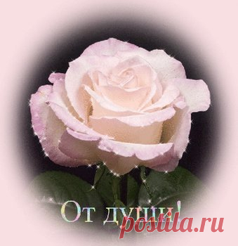 Открытки спасибо за ... дружбу, доброе сердце, поздравления - cтраница 5