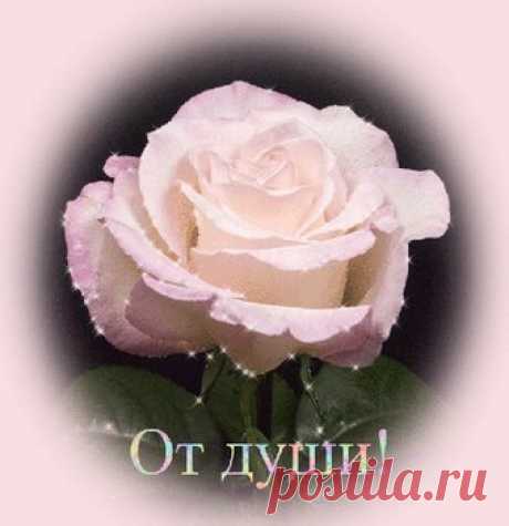 Открытки спасибо за ... дружбу, доброе сердце, поздравления - cтраница 5