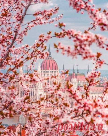 (9) Beautiful World | Facebook