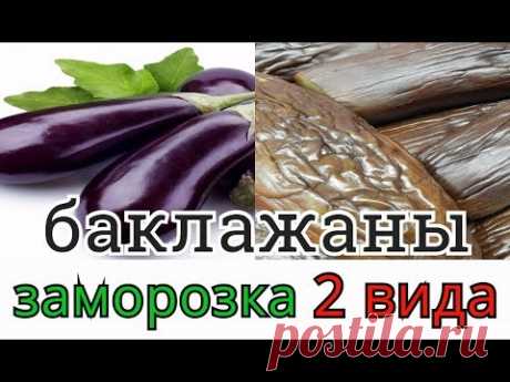 КАК ПРАВИЛЬНО ЗАМОРОЗИТЬ БАКЛАЖАНЫ НА ЗИМУ 2 ВИДА ЗАМОРОЗКИ