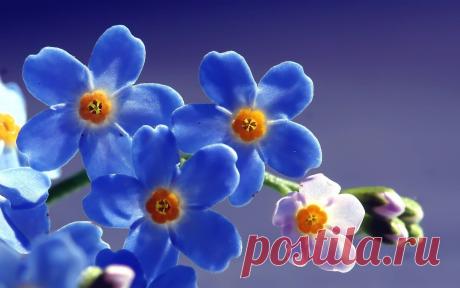 [gotowall.com]20120229_200307_4753.jpg (1920×1200)