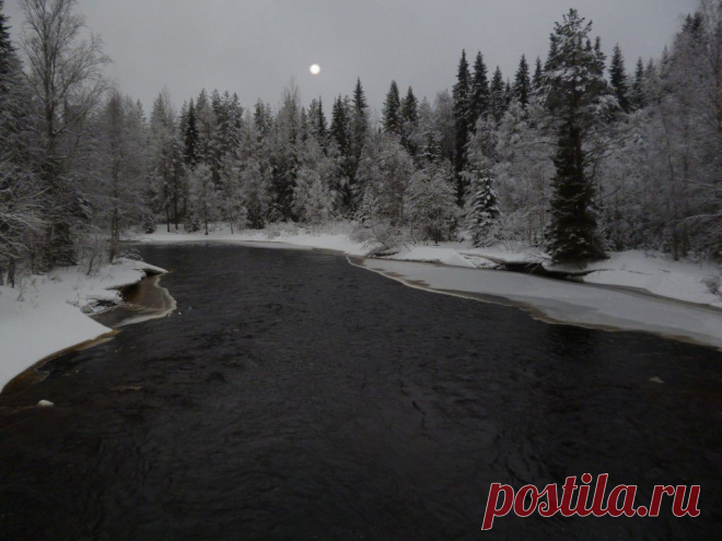 ФОТОМАСТЕРСКАЯ ПРИРОДЫ
Светлана Пыстина(Фомина)