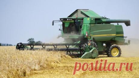 Рогов: Киев пытается сорвать уборочную кампанию в Запорожской области