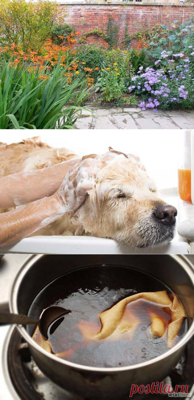 Использование кофейной гущи