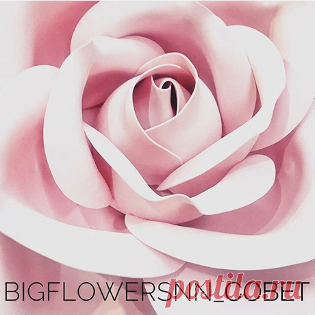 В этот прекрасный весенний день хотим поговорить к вами, дорогие обладательницы цветочного бизнеса, о важности профиля в #Instagram ☝🏼
Речь идёт именно в бизнес-профиле. 💻 ⠀ 
Почему он необходим каждому, кто всерьёз занимается созданием Больших цветов:
Во-первых, бизнес-аккаунт позволяет продвигать (рекламировать) ваши посты.
Реклама - залог активных продаж!💰
⠀ 
Во-вторых, в бизнес-профиле есть возможность добавить геолокацию вашей компании, по которой вас найдут клиент...