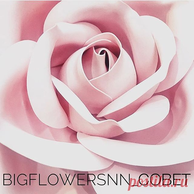 В этот прекрасный весенний день хотим поговорить к вами, дорогие обладательницы цветочного бизнеса, о важности профиля в #Instagram ☝🏼
Речь идёт именно в бизнес-профиле. 💻 ⠀ 
Почему он необходим каждому, кто всерьёз занимается созданием Больших цветов:
Во-первых, бизнес-аккаунт позволяет продвигать (рекламировать) ваши посты.
Реклама - залог активных продаж!💰
⠀ 
Во-вторых, в бизнес-профиле есть возможность добавить геолокацию вашей компании, по которой вас найдут клиент...