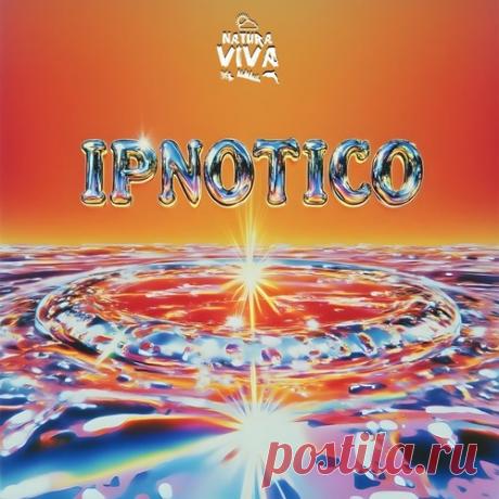 Albela, bakh - Ipnotico [Natura Viva] free download mp3 music 320kbps